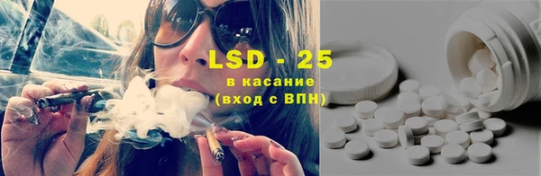 дживик Бородино
