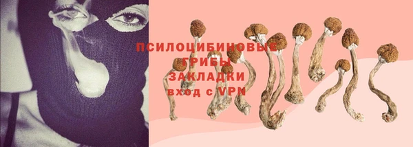 ГАЛЛЮЦИНОГЕННЫЕ ГРИБЫ Бугульма
