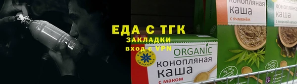 дживик Бородино