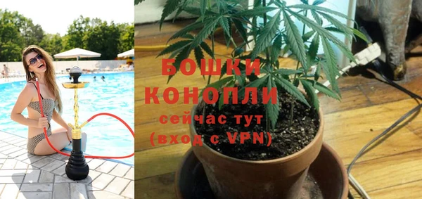 дживик Бородино