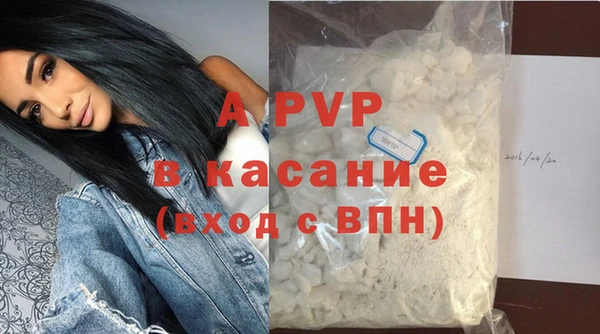 дживик Бородино