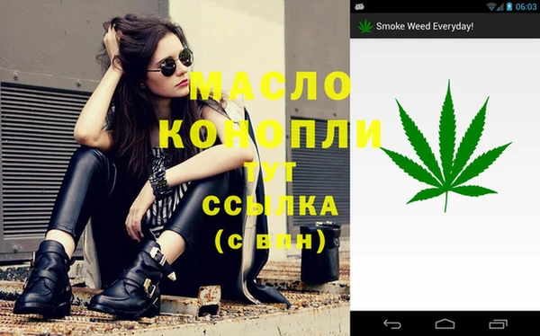 дживик Бородино