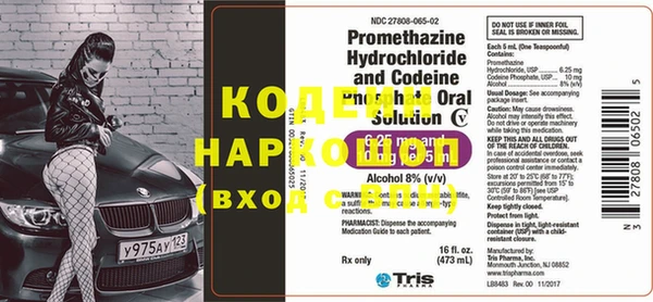 дживик Бородино