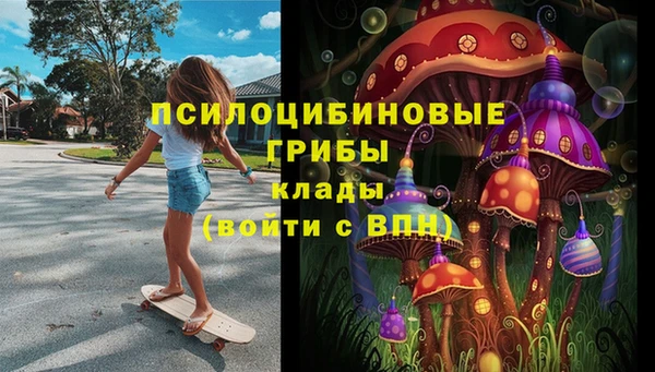 ГАЛЛЮЦИНОГЕННЫЕ ГРИБЫ Бугульма