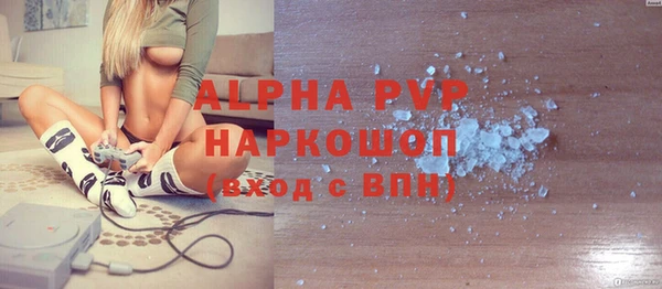 дживик Бородино