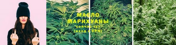 дживик Бородино