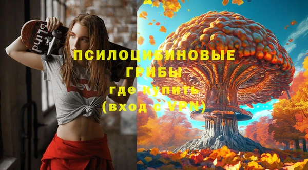 ГАЛЛЮЦИНОГЕННЫЕ ГРИБЫ Бугульма