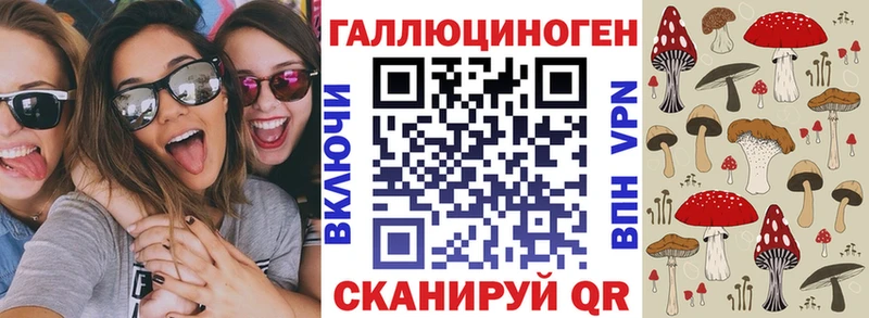 Галлюциногенные грибы мицелий  Новодвинск 